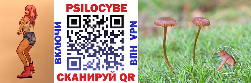 Псилоцибиновые грибы Magic Shrooms  Зубцов 
